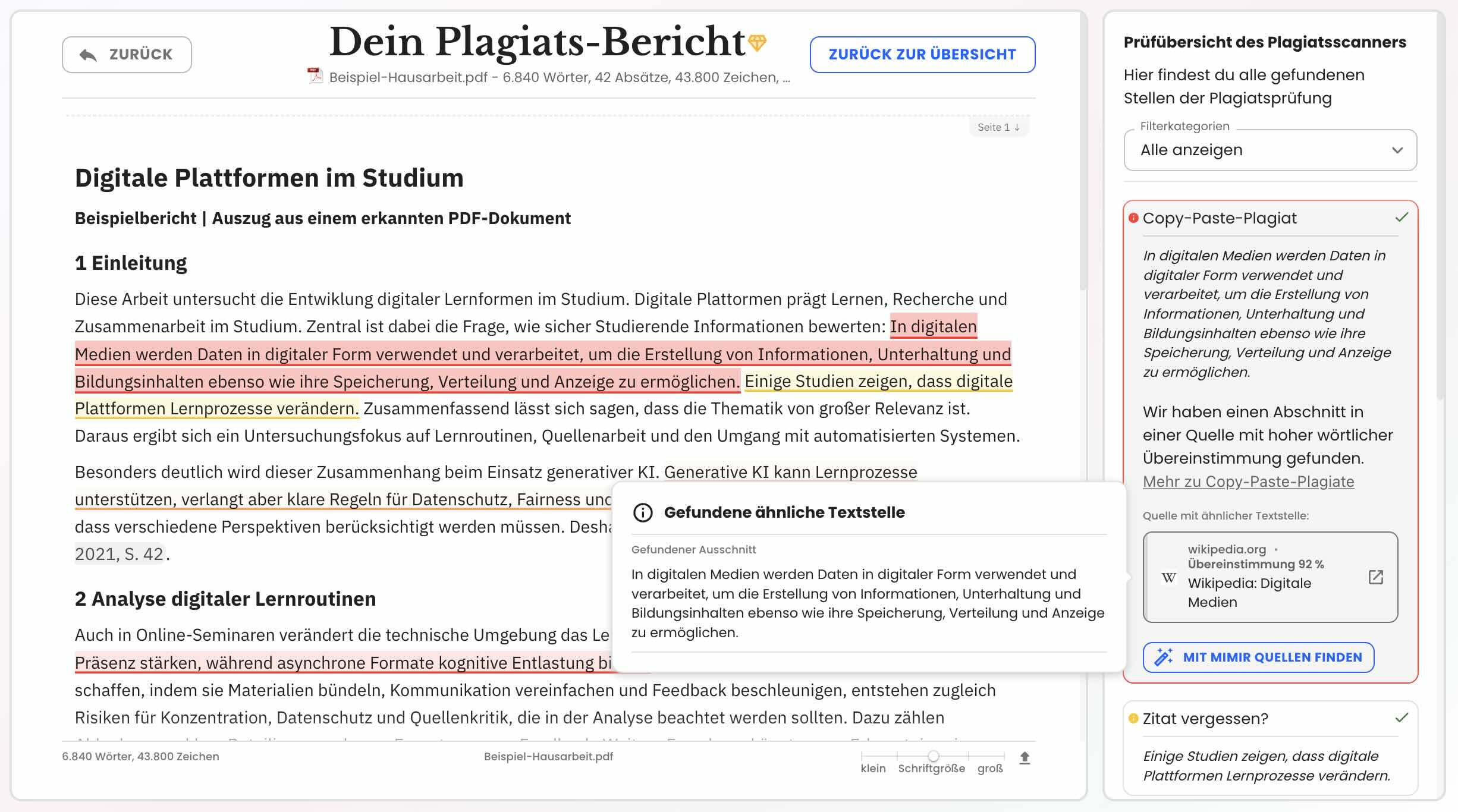 Vorschau eines Mimir Mentor Beispielberichts