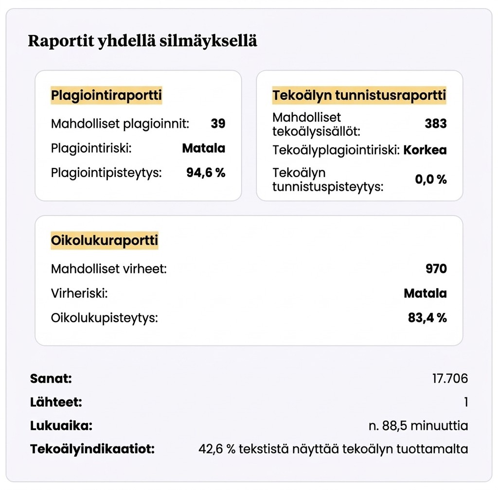 Esimerkki Mimir Mentorin raportista