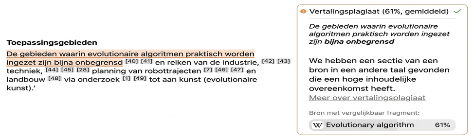 Soorten Plagiaat: Wat Je Moet Weten 3 Screenshot van Mimir Mentor: vertaalplagiaat