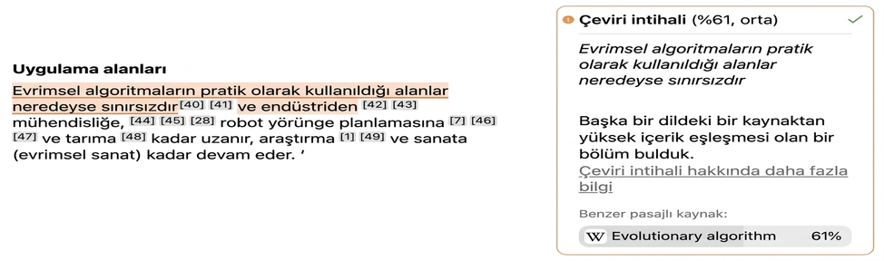 Mimir Mentor ekran görüntüsü: çeviri intihali
