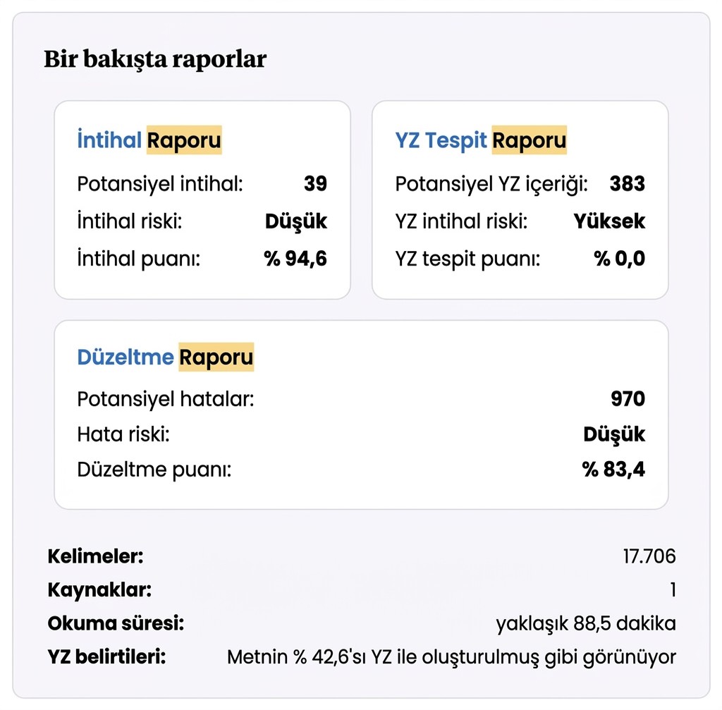 Örnek Mimir Mentor raporu