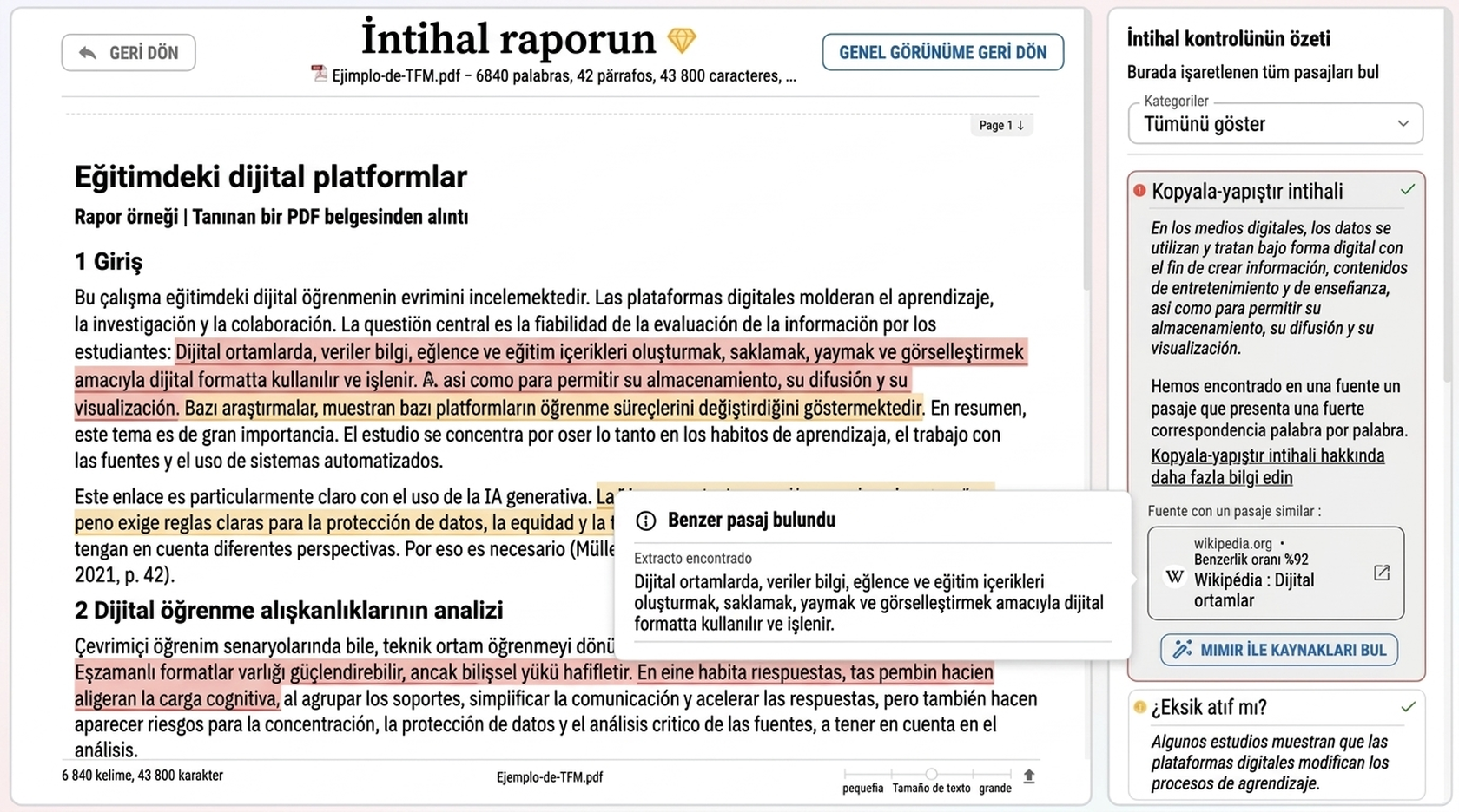 İntihal Programı 5 Mimir Mentor intihal raporunun örnek önizlemesi